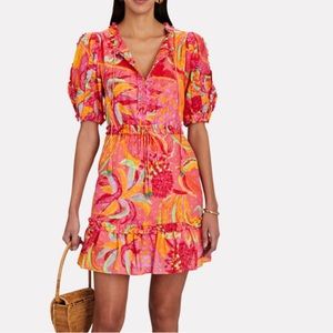 Fruit Brush Poplin Mini Dress